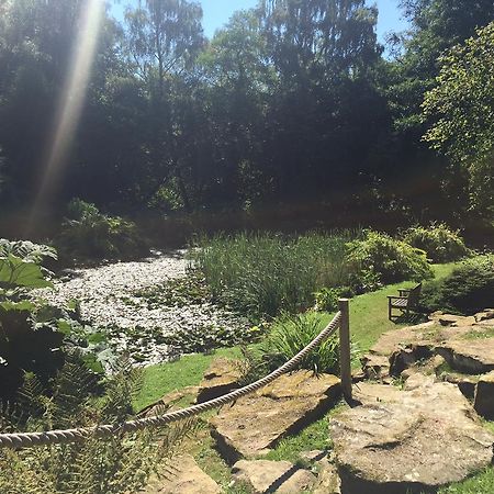 Burrswood Health And Wellbeing Hotel Royal Tunbridge Wells Esterno foto
